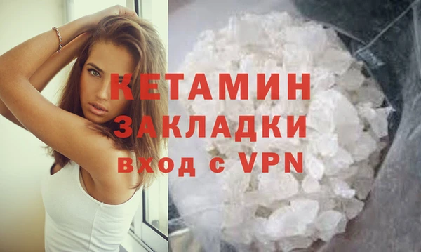 сатива Горняк