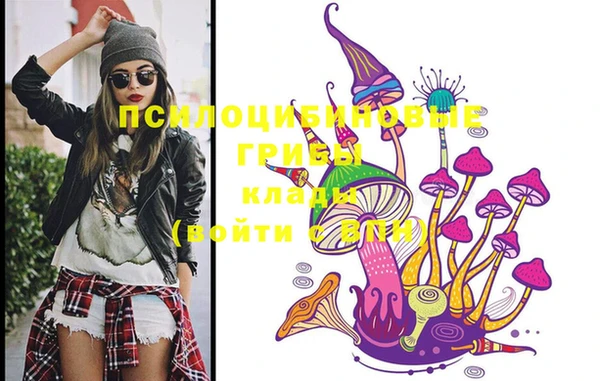 бошки Горняк