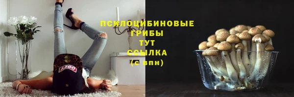 винт Горно-Алтайск