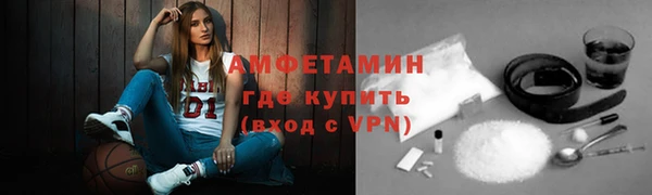 сатива Дмитровск