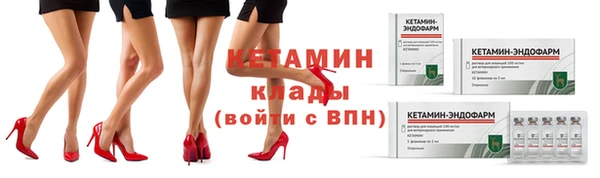 сатива Дмитровск