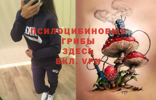 бошки Горняк