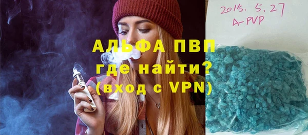 сатива Дмитровск