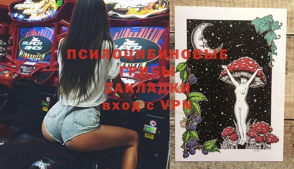 сатива Дмитровск