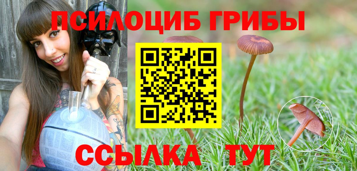 Галлюциногенные грибы мухоморы Салават