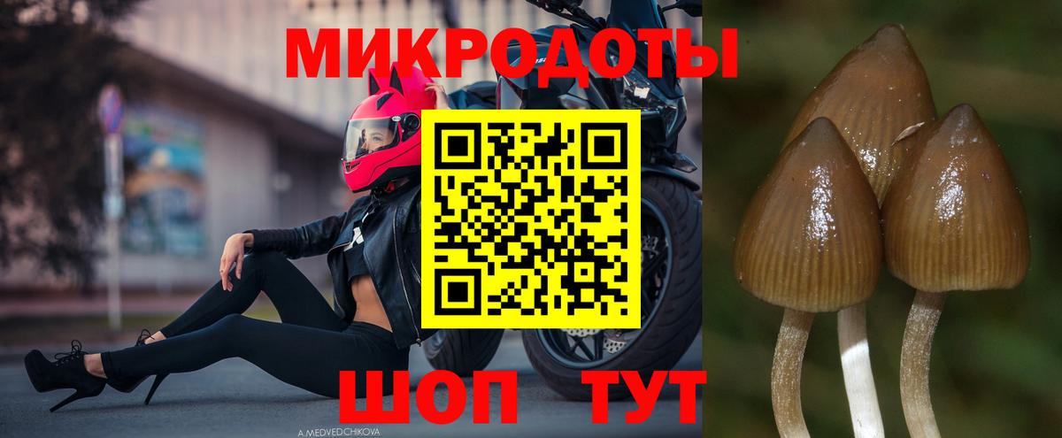 Галлюциногенные грибы прущие грибы  Вход с VPN  Салават  Псилоцибиновые грибы Psilocybe 